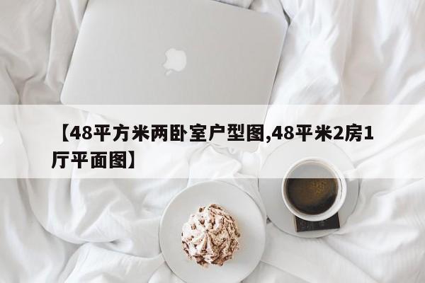【48平方米两卧室户型图,48平米2房1厅平面图】
